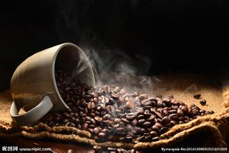 世界上有多少種咖啡豆種類