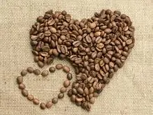 咖啡起源 咖啡豆起源 咖啡分類