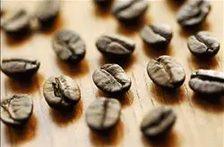 咖啡文化：咖啡知識大掃盲