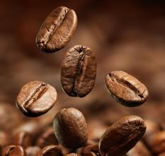 世界各種有多少種咖啡豆 咖啡豆的介紹