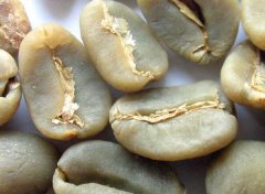 危地馬拉的特硬咖啡豆顆粒飽滿，美味均衡