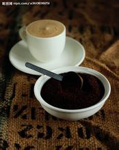 哥倫比亞咖啡豆物種形態