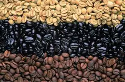 埃塞俄比亞咖啡起源特點介紹、耶加雪菲