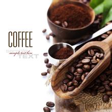 坦桑尼亞咖啡品質、介紹