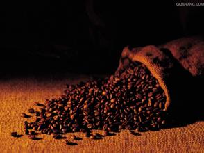 咖啡樹的種類及特點起源風味口感介紹