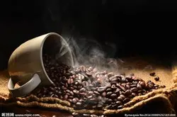 肯尼亞咖啡豆等級介紹