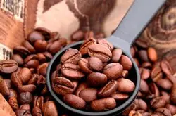 咖啡豆的種類推薦 種類介紹