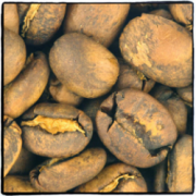厄瓜多爾咖啡有着悠久的歷史 單品咖啡 莊園豆
