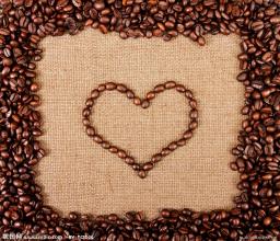 咖啡知識介紹 一棵咖啡樹能長出多少咖啡豆