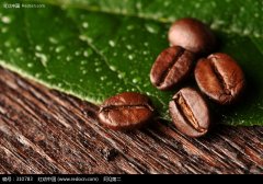 摩卡咖啡豆比絕大多數咖啡豆更小圓 也門咖啡 非洲咖啡