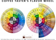 咖啡的風味輪與味譜圖  咖啡知識 咖啡基礎 scaa精品咖啡