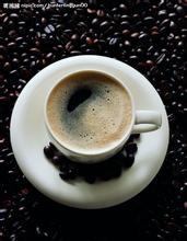 人類種裁海拔最高咖啡生產區哈拉爾高地咖啡豆