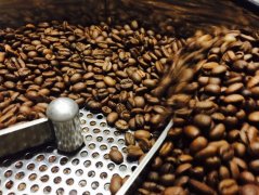 如何辨認藍山咖啡真僞 高級咖啡豆 BMcafe 藍山風味