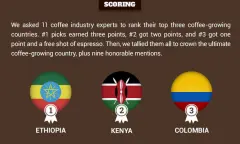 全球十大最頂級咖啡豆原產國-精品咖啡