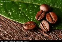 詳解“咖啡味”風味輪SCAA認可的咖啡風味標準不同產區咖啡豆