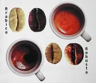 手衝預浸泡時間使用參數 研磨刻度 咖啡豆研磨 咖啡器具 怎麼衝咖