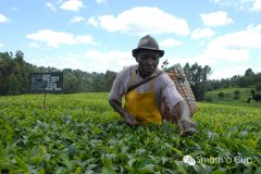 埃塞俄比亞咖啡合作社名稱與介紹非洲精品咖啡阿朵朵合作社 優質
