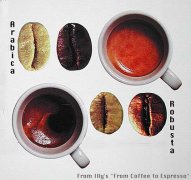 濃縮咖啡的相關知識意式拼配咖啡豆 巴西咖啡 亞洲濃郁風味