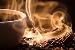優質等級的烏干達咖啡豆介紹西部魯文佐裏(Ruwensori)山區
