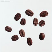 咖啡豆研磨製作技術粗細合適的咖啡粉意式咖啡的製作流程意式拼配