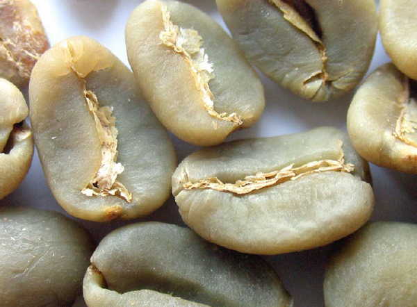 生豆EP是什麼意思進口生豆生豆咖啡師尋豆師 精品美洲豆