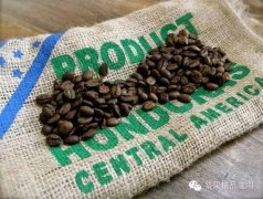 洪都拉斯新政致咖啡產區規模縮減