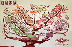 咖啡家族樹中文版與英文版 兩張圖詳細瞭解咖啡品種體系