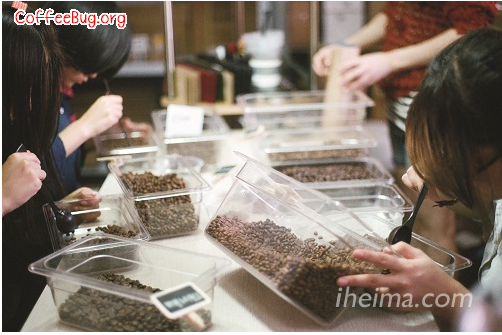 專業烘焙咖啡的淘寶店鋪用專注撐起了咖啡這門生意。
