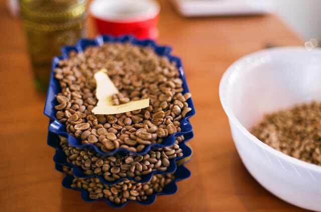印尼蘇門答臘Mandheling曼特寧精品咖啡生豆 曼特寧G1級咖啡生豆