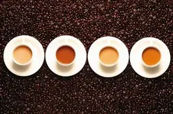 精品咖啡豆的起源-精品咖啡豆是什麼