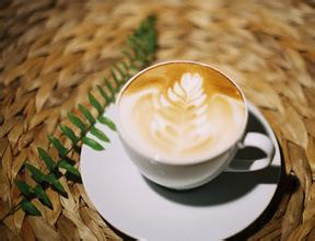 巴拿馬咖啡莊園產區風味口感特點精品咖啡介紹凱撤路易斯莊園