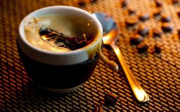 回味無窮的西達摩夏奇索咖啡莊園產區風味口感特點精品咖啡介紹