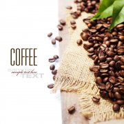 平衡、乾淨 哥斯達尼加葉爾莎羅咖啡風味、特色、口感及莊園