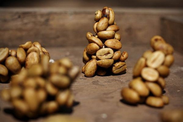 酸味較淡越南咖啡品種特點口感莊園精品咖啡豆風味介紹