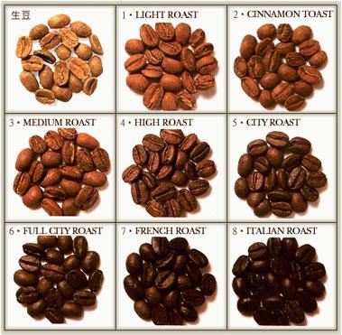 香氣和尾韻持久的丘比特咖啡品種特點口感莊園精品咖啡豆風味介紹