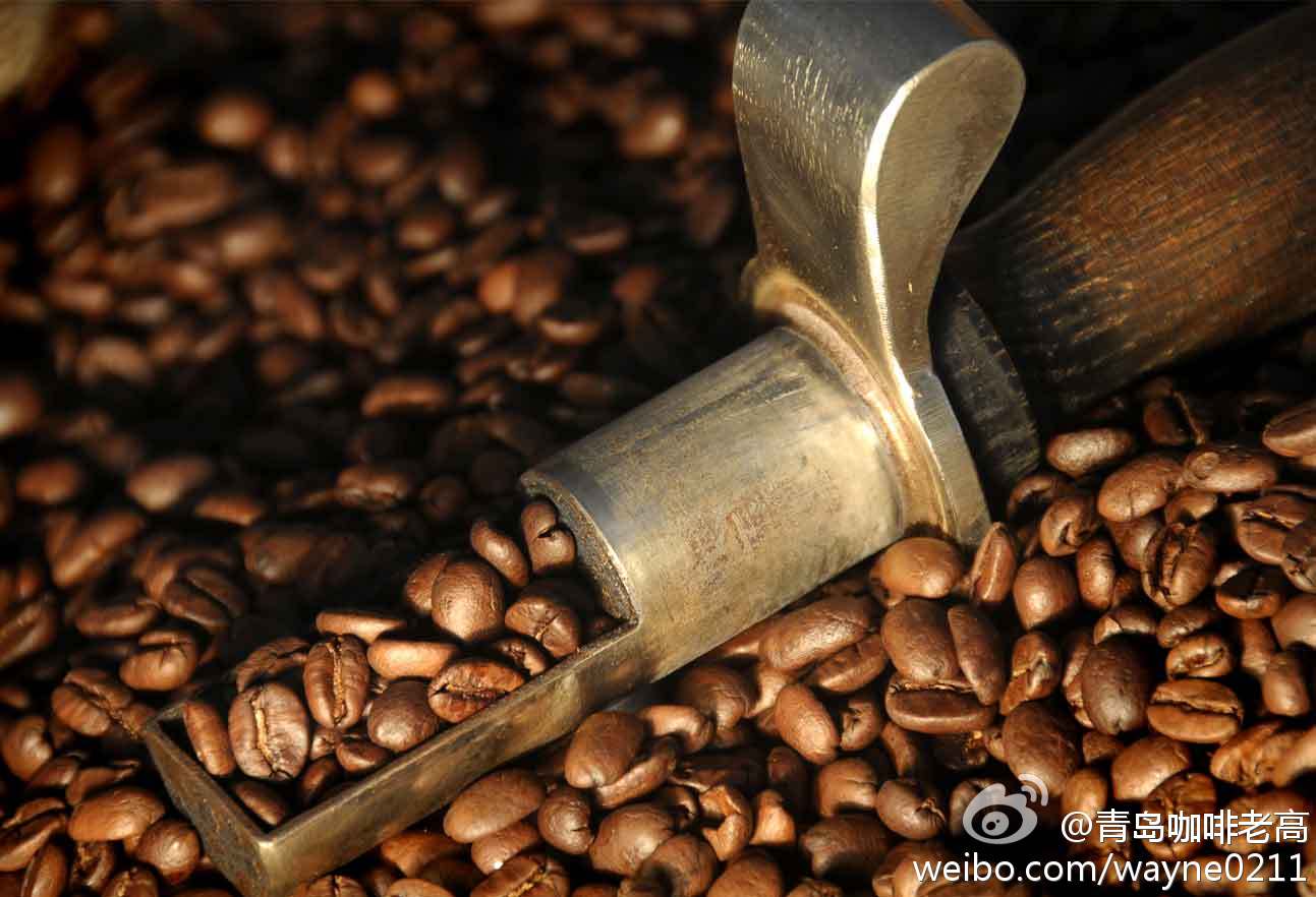 風味俱全致命芳香的瑪翡咖啡品種特點口感莊園精品咖啡豆風味介紹