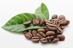 風味多種巴拿馬品種口感特點莊園精品咖啡豆風味介紹