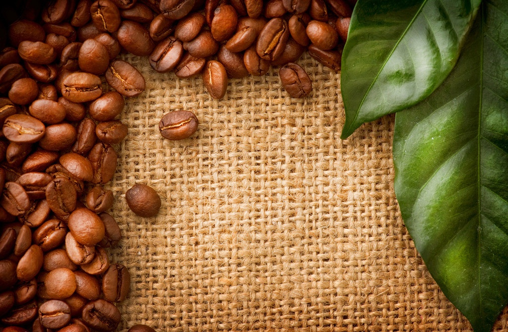 帶有水果芳香風味肯尼亞咖啡品種口感特點莊園精品咖啡豆風味介