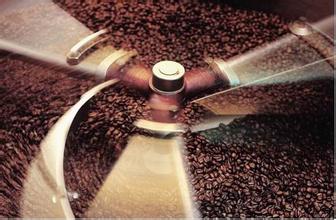 尾韻香氣持久的丘比特咖啡品種口感特點莊園精品咖啡豆風味介紹
