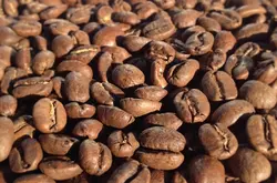 風味多種的巴拿馬特點口感品種莊園精品咖啡豆風味介紹