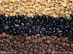 巴厘島咖啡研磨度口感特點處理法精品咖啡豆介紹