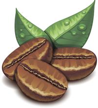 危地馬拉安提瓜花神咖啡研磨度特點口感品種產區口感介紹