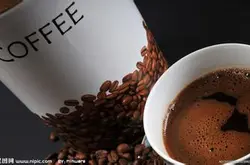 薩爾瓦多梅賽德斯咖啡豆風味描述處理法品質特點口感莊園介紹