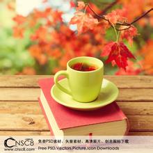 中國咖啡栽種的歷史雲南是什麼時候種植咖啡的