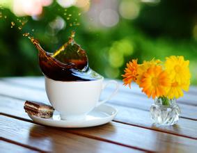 咖啡起源於哪裏-星巴克首選咖啡豆來源種類介紹
