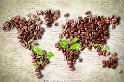 巴西黃波旁咖啡豆的特點風味描述口感品種特點產地區處理法介紹