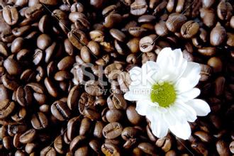 常喝的咖啡種類沖泡方式 風味口感特點