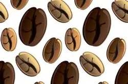 口味均衡的薩爾瓦多榮耀莊園咖啡豆風味描述研磨刻度品種口感產地