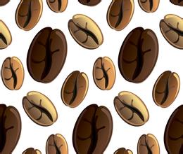 熟咖啡豆的保質期可以存放多少天產地區介紹