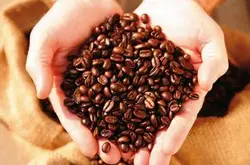 烏干達咖啡豆的口感研磨刻度品種產地區處理法莊園介紹